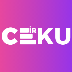 CEIR Check IMEI Status